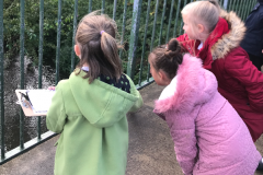 Screenshot-2020-10-04-at-10.10.12