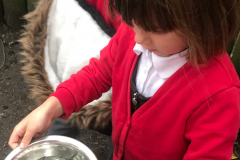 Screenshot-2020-10-04-at-10.12.52