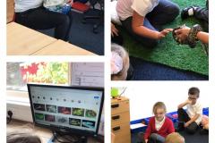 WhatsApp-Image-2020-09-22-at-18.50.24-1